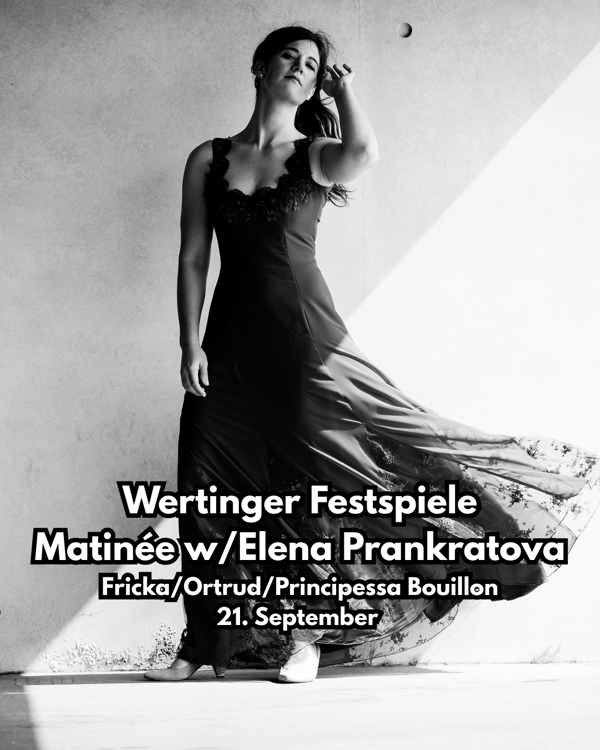 Matinée Wertinger Festspiele